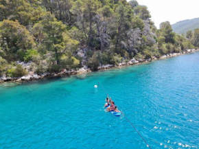 Apartman Hvar Starigrad